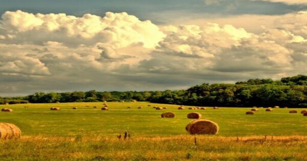 Kako spriječiti brisanje poljoprivrednog zemljišta iz ARKOD-a za koje nemate dokaze o vlasništvu ili posjedu