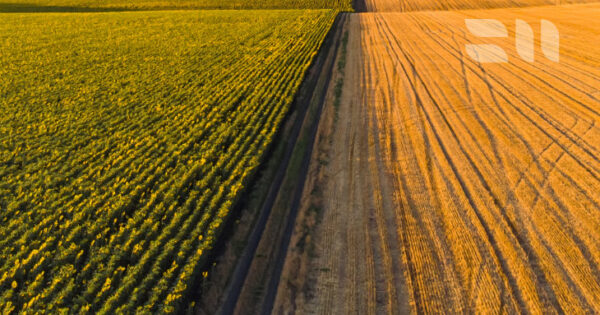 Ministarstvo poljoprivrede, šumarstva i ribarstva otvorilo je javno savjetovanje za prijedlog Pravilnika o evidenciji uporabe poljoprivrednog zemljišta