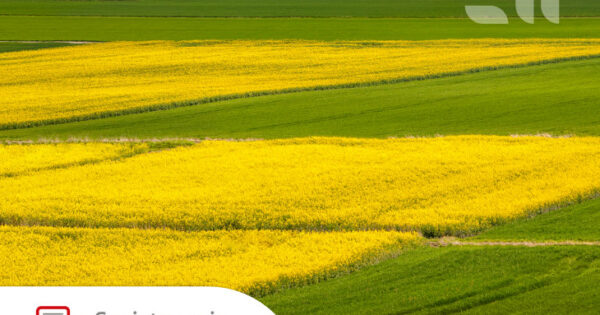 Otvoreno e-Savjetovanje s javnošću za Prijedlog pravilnika o izmjeni Pravilnika o provedbi intervencije 76.01. „Osiguranje poljoprivredne proizvodnje“