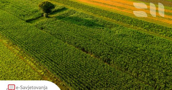 Prijedlog Pravilnika o provedbi izravne potpore poljoprivredi i IAKS mjera ruralnog razvoja za 2025. godinu