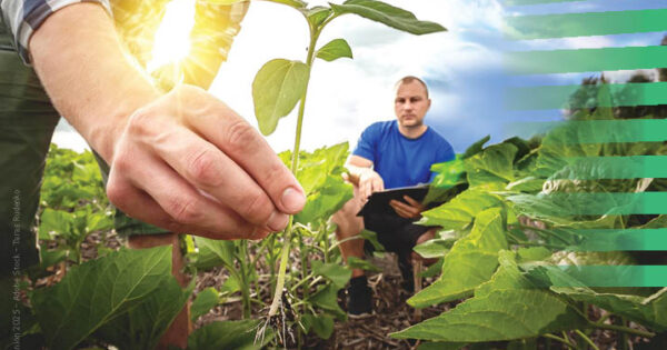 Konferencija o Viziji za poljoprivredu i hranu održava se 8. svibnja 2025. i možete je pratiti uživo