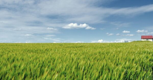 Održano predstavljanje Pravilnika o izmjenama i dopunama Pravilnika o provedbi intervencija za potporu ulaganjima u primarnu poljoprivrednu proizvodnju i preradu