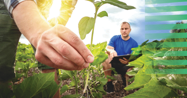 Europska komisija predstavila viziju za uspješan poljoprivredni i poljoprivredno-prehrambeni sektor EU-a