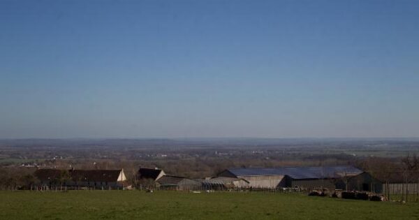 Europska komisija osniva stručnu skupinu na visokoj razini „Europski odbor za poljoprivredu i hranu“ – otvoren Javni poziv na podnošenje prijava za članstvo