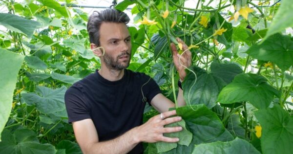 David se nakon studija u SAD i Cambridgeu vratio kući i pitao: ‘Gdje sam najviše potreban?