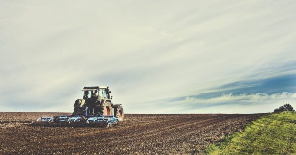 Dostupne odluke o ostvarivanju prava na izravna plaćanja za 2021. godinu na AGRONET-u