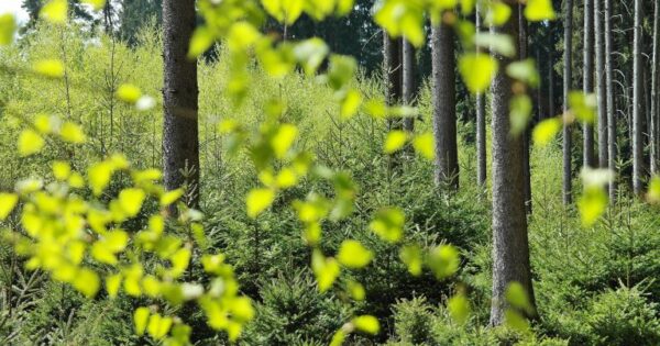 Obavijest za korisnike prvog i drugog natječaja za 8.5.1. i 8.5.2.