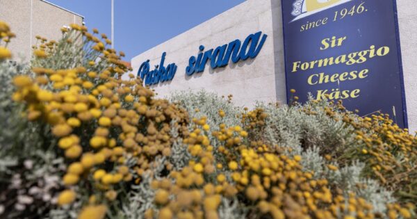 Paška sirana – jedan od dva hrvatska finalista ARIA 2025 nagrada! Glasajte za hrvatsku priču o tradiciji, inovacijama i otočnom ponosu!