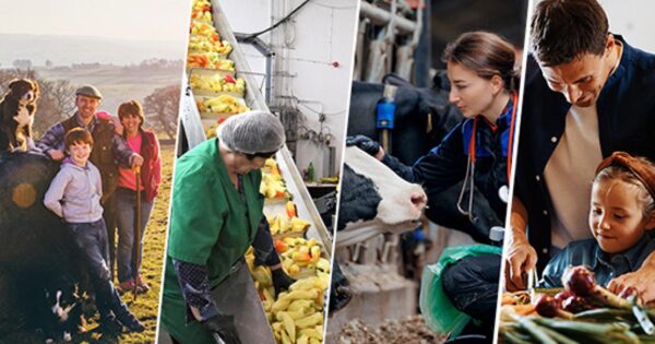 Europska komisija osnovala Europski odbor za poljoprivredu i hranu