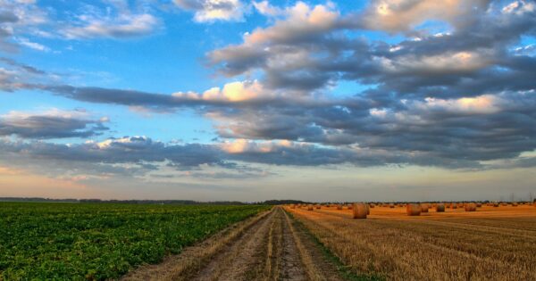 Započelo podnošenje Jedinstvenog zahtjeva za izravne potpore i IAKS mjere ruralnog razvoja za 2021. godinu