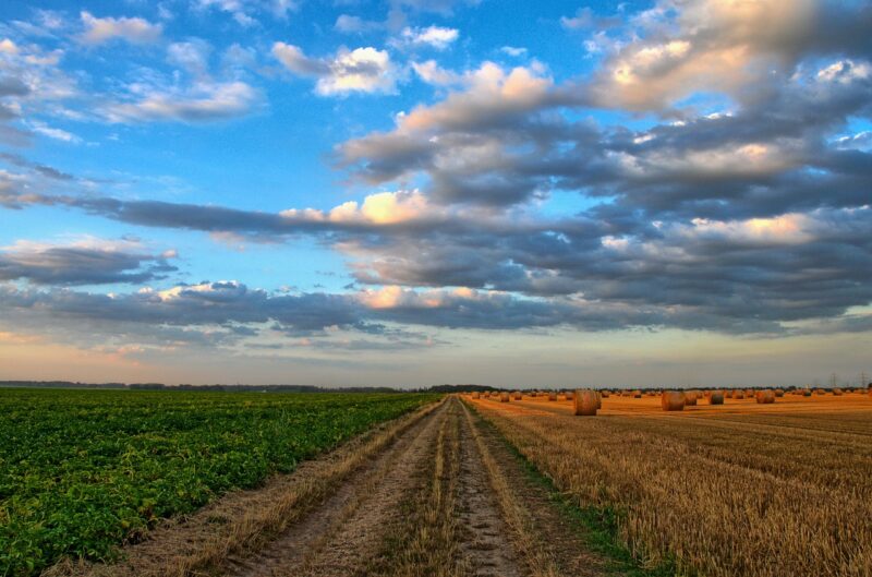 Započelo podnošenje Jedinstvenog zahtjeva za izravne potpore i IAKS mjere ruralnog razvoja za 2021. godinu