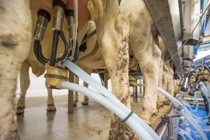 Na raspolaganju 1,3 milijardi kuna putem aktualnih natječaja Programa ruralnog razvoja