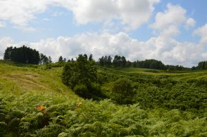 Pravilnik o izmjenama i dopunama Pravilnika o provedbi Mjere 07 »Temeljne usluge i obnova sela u ruralnim područjima«, NN 15/2017 priroda
