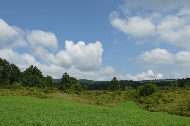 priroda