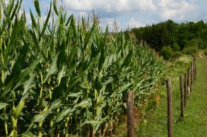 REZULTATI OBRADE PRIJAVA ZA PODMJERU 6.3 NA DAN 7. RUJNA 2016.