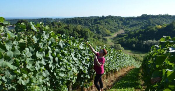 Uspješna priča: Korisniku podmjere 6.3. odobrena potpora preko 113 tisuća kuna