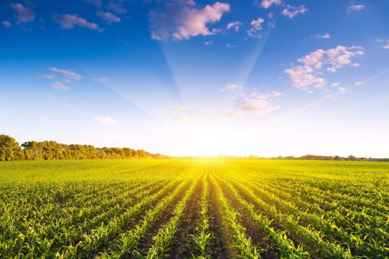 Pravilnik o izmjenama i dopunama Pravilnika o provedbi mjera Programa ruralnog razvoja Republike Hrvatske za razdoblje 2014. – 2020.