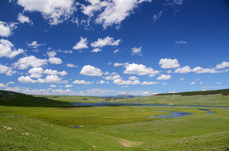 Obavijest za članove Nacionalne ruralne mreže Ministarstva poljoprivrede o objavi javnog poziva za iskaz interesa za sudjelovanje u regionalnim lancima vrijednosti Panonske, Sjeverne i Jadranske Hrvatske