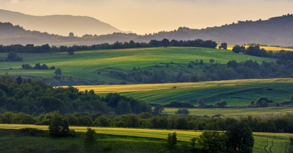 U e-savjetovanju Prijedlog pravilnika o izmjenama i dopunama Pravilnika o provedbi izravne potpore poljoprivredi i IAKS mjera ruralnog razvoja za 2024. godinu